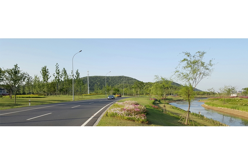 膠陽路